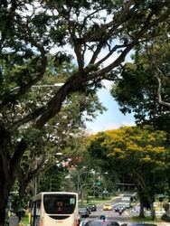 Hillside Drive (D19), Semi-Detached #545975851